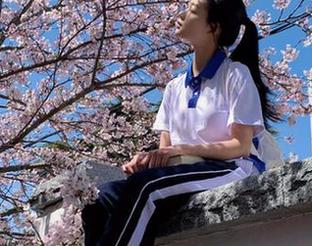 cgw网页居然让我花了一个下午在“吃瓜”的世界里流连忘返！