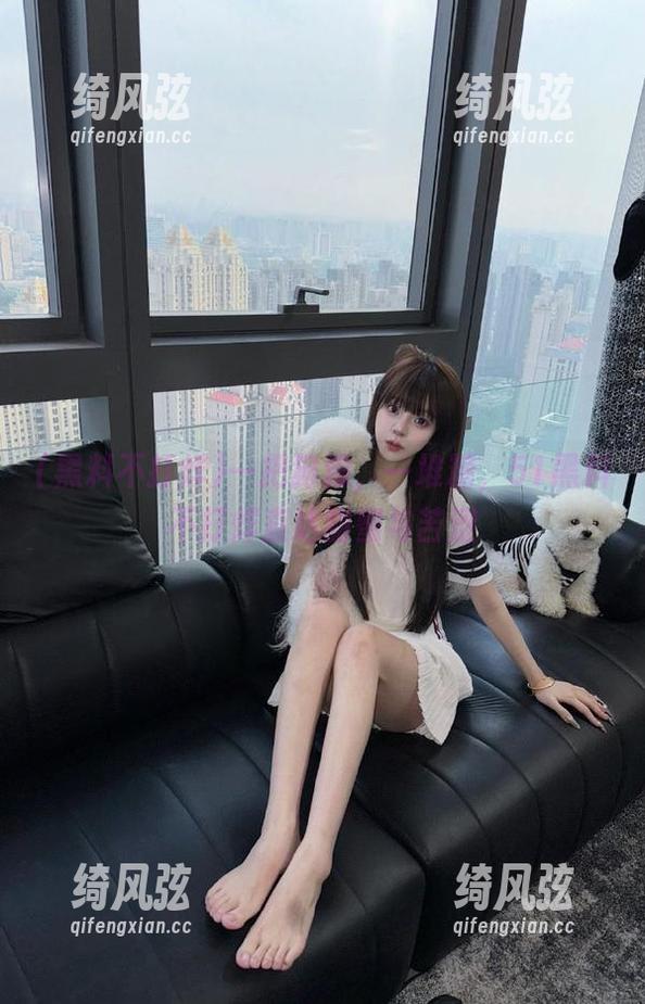 一把狗粮，一堆糖，51黑料不打烊直达甜蜜与苦涩