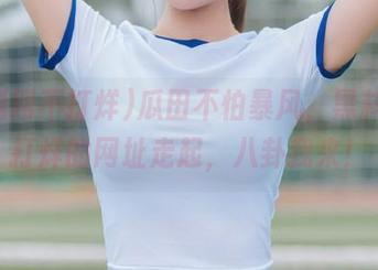 瓜田不怕暴风，黑料网不打烊的网址走起，八卦我来！